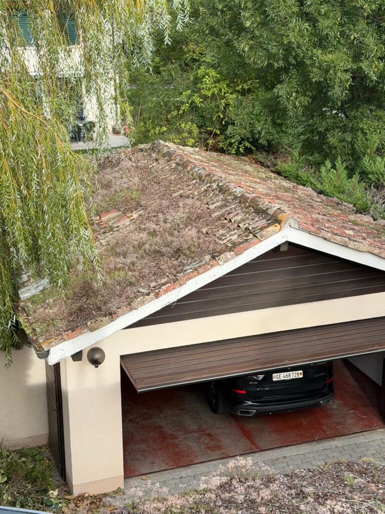 Toiture de garage en tuiles canal couverte de mousse avant démoussage