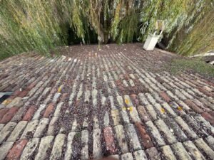 Toiture en tuiles canal anciennes encrassées avant démoussage