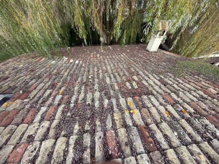 Toiture en tuiles canal anciennes encrassées avant démoussage