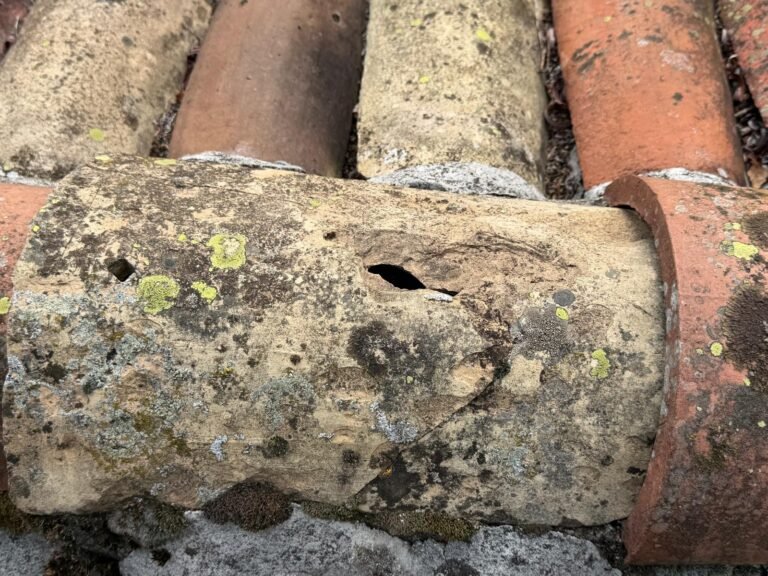 Tuile canal cassée et fissurée à remplacer